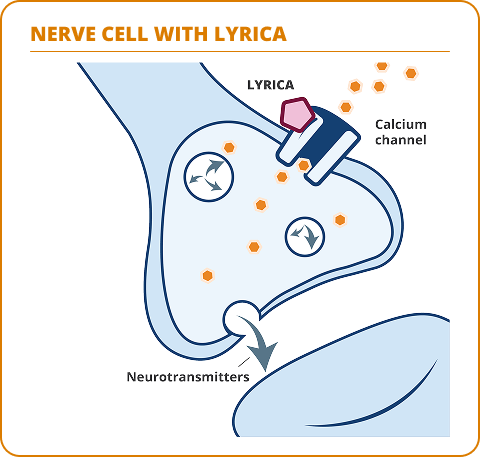 Diagram comparing nerve cells without and with LYRICA