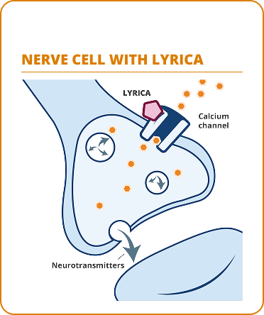 Diagram comparing nerve cells with LYRICA